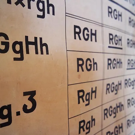 Alberti - Bed & Bike Guest house 3*