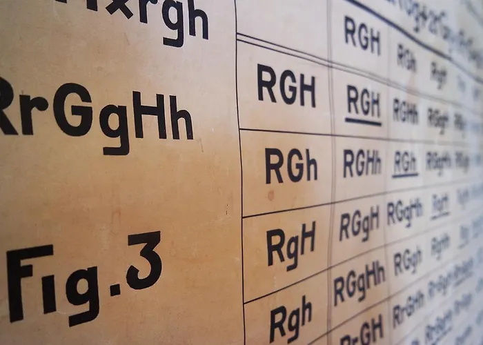 Alberti - Bed & Bike Pensión 3*